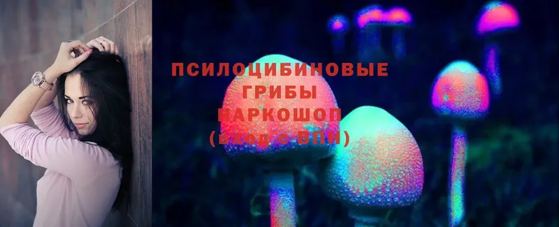 Галлюциногенные грибы Psilocybe  хочу   Омск 